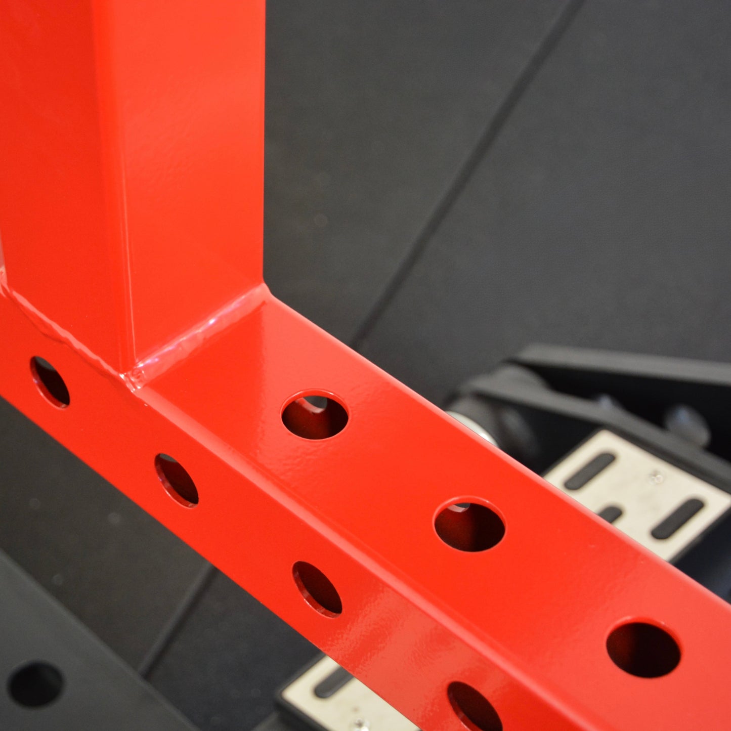 PowerBells Strength Plate Loaded - Seated Calf Raise and Tibia Dorsi Machine