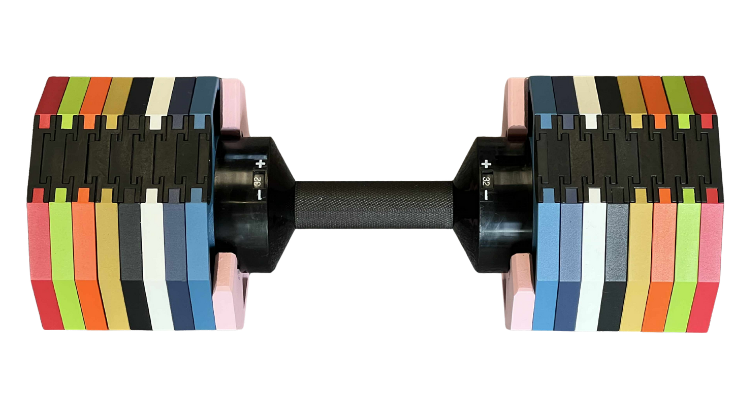 PowerBells 32 Pro – Decagonal Dumbbells | 2kg Increments | Pair PowerBells